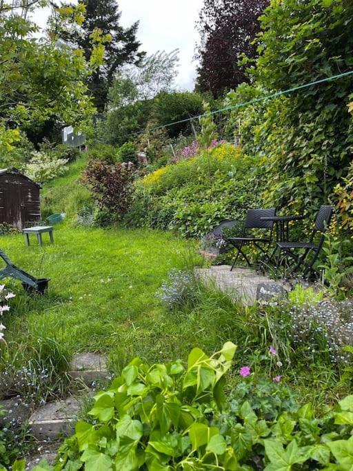 Annie'S Cottage Llanrhaeadr-ym-Mochnant Exterior foto